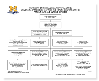 Nursing Organizational Chart