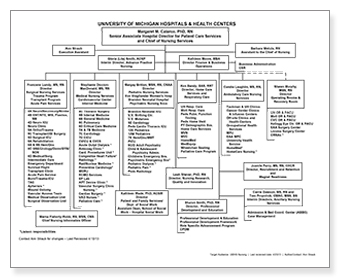 Nursing Hierarchy Chart