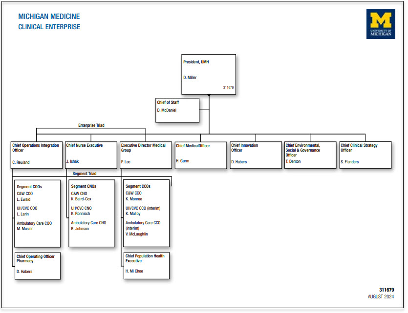 Nursing Organizational Chart