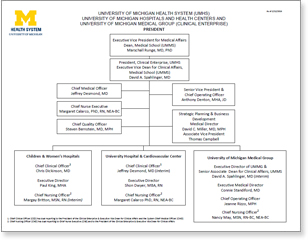 Clinical Enterprise Organizational Chart