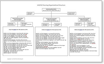 UH-CVC Nursing Organizational Structure