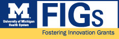 Fostering Innovation Grant Logo