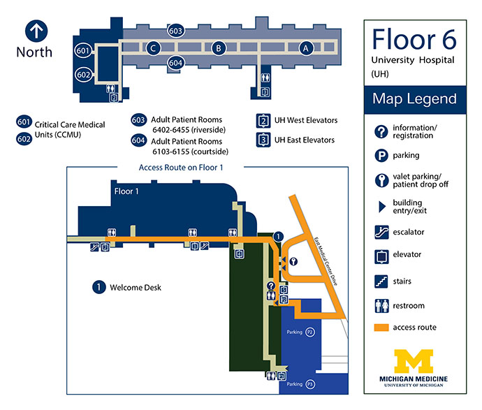 University Hospital - Floor 6